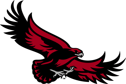 St. Joseph's Hawks 2001-Pres Alternate Logo v4 iron on transfers for clothing...